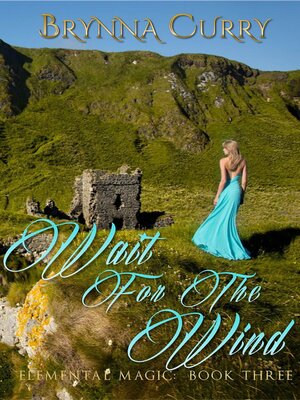 cover image of Wait For the Wind